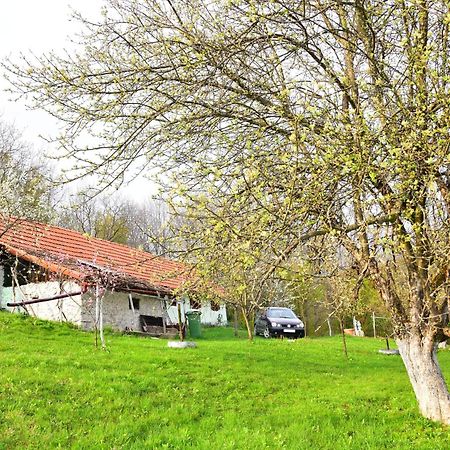 La Salasul Fermecat In Cheile Carasului Iabalcea 외부 사진