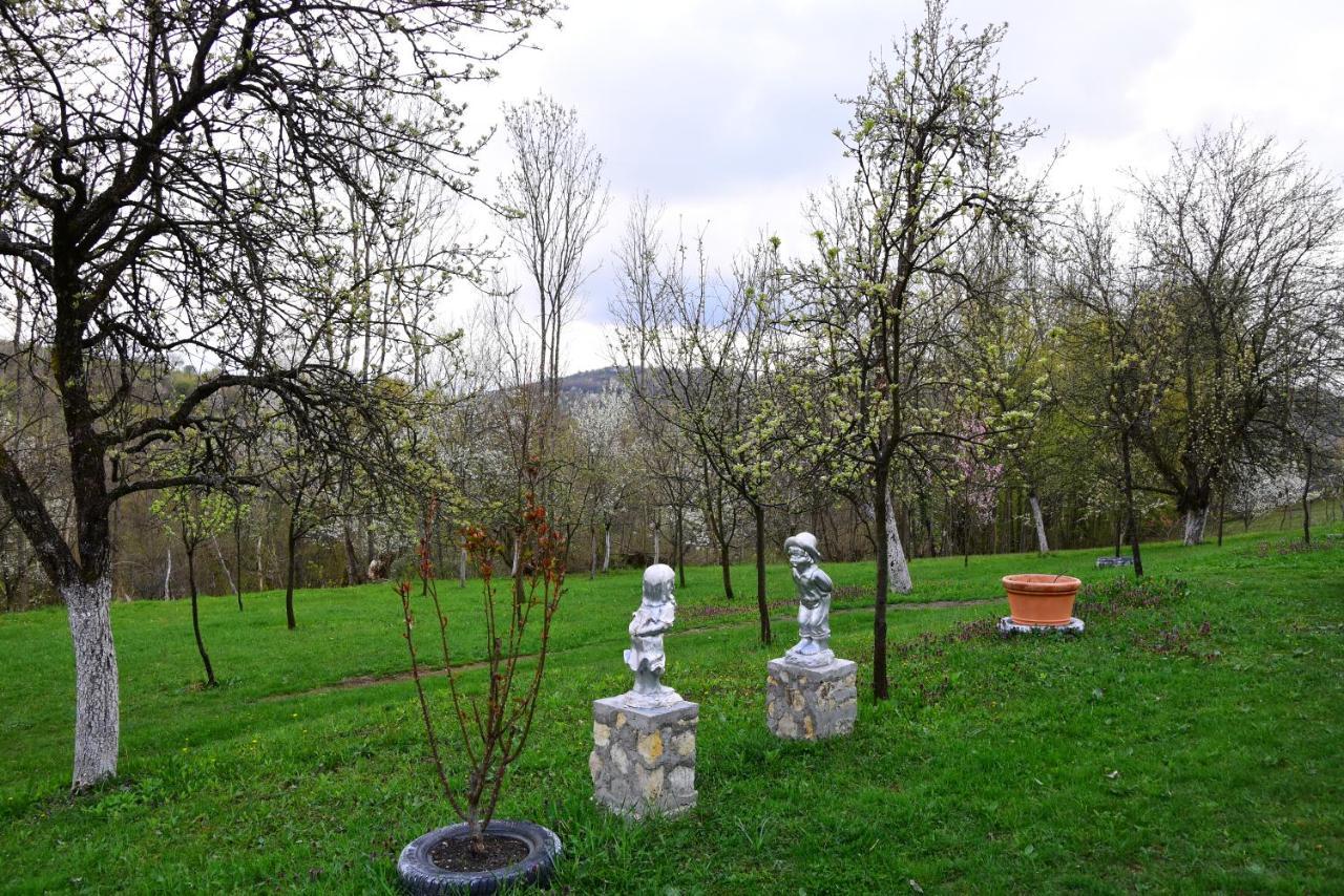La Salasul Fermecat In Cheile Carasului Iabalcea 외부 사진