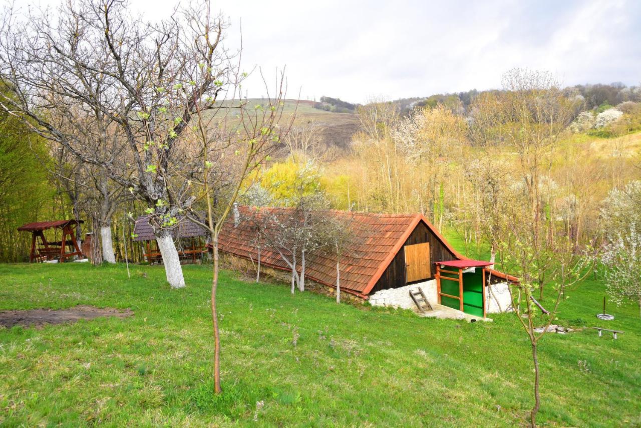 La Salasul Fermecat In Cheile Carasului Iabalcea 외부 사진