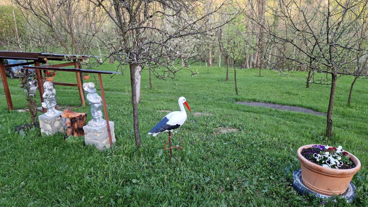 La Salasul Fermecat In Cheile Carasului Iabalcea 외부 사진