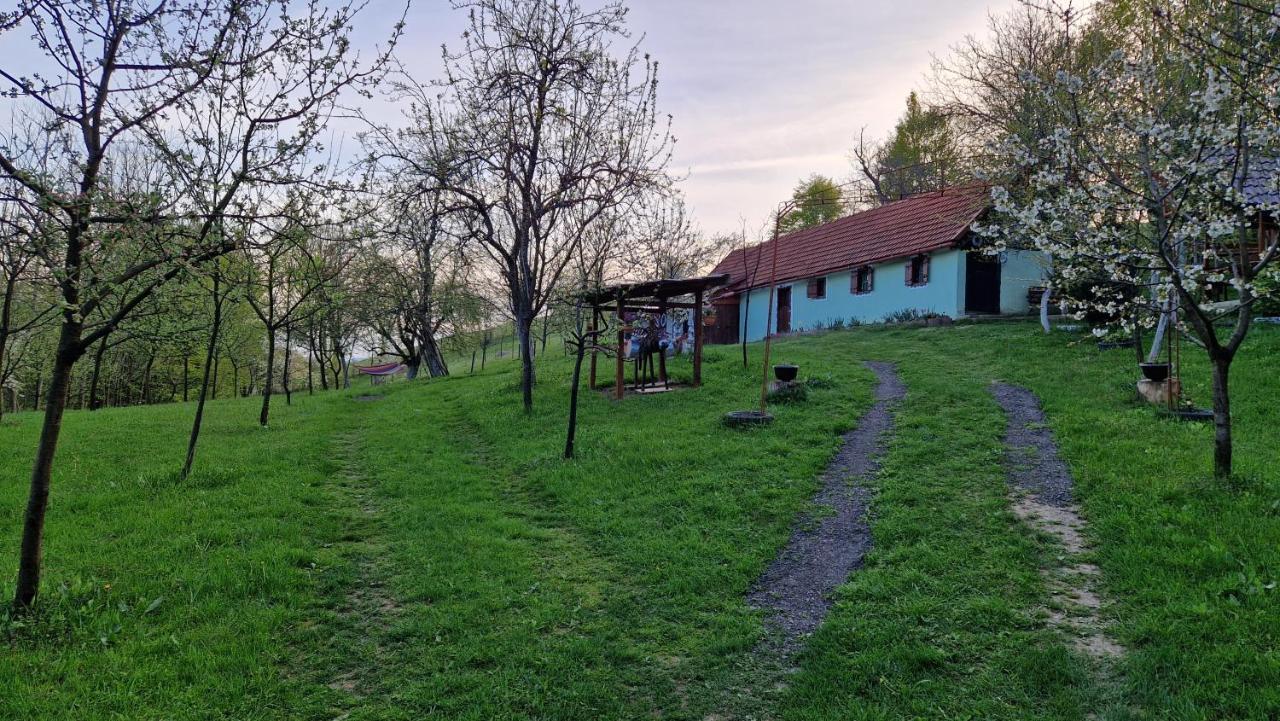La Salasul Fermecat In Cheile Carasului Iabalcea 외부 사진