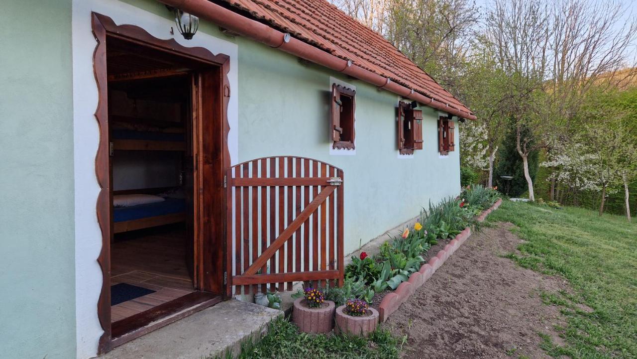 La Salasul Fermecat In Cheile Carasului Iabalcea 외부 사진