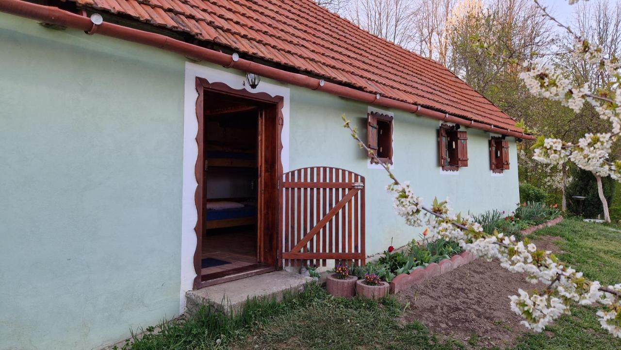 La Salasul Fermecat In Cheile Carasului Iabalcea 외부 사진