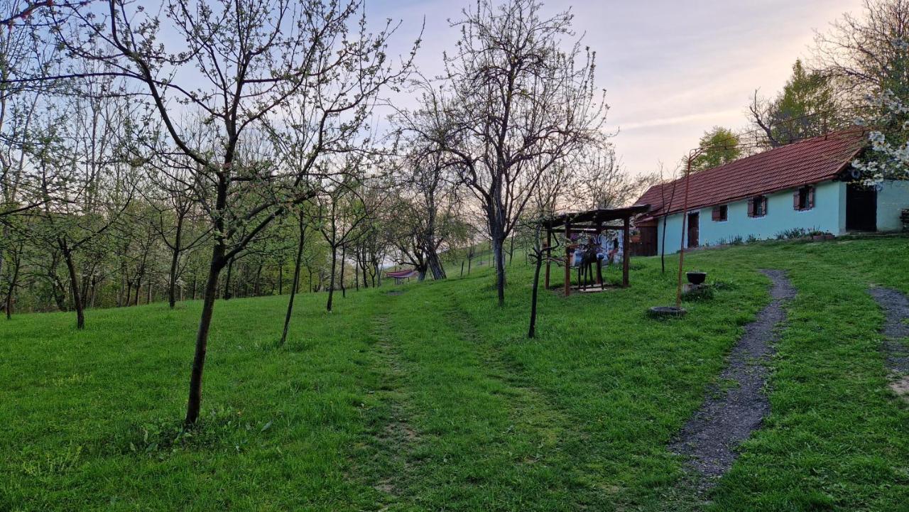 La Salasul Fermecat In Cheile Carasului Iabalcea 외부 사진