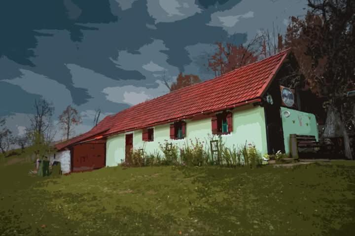 La Salasul Fermecat In Cheile Carasului Iabalcea 외부 사진